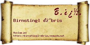 Birnstingl Ábris névjegykártya